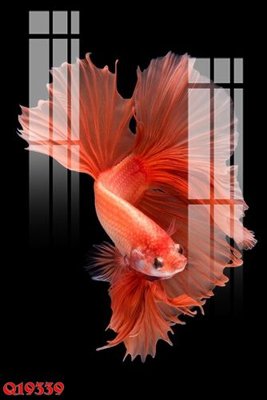 Download file tranh PSD File gốc in tranh tổng hợp Q19339 để chỉnh sửa