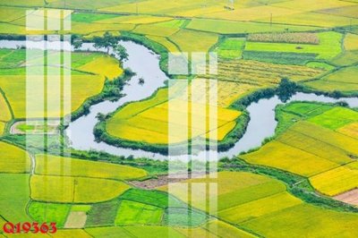 File PSD File gốc in tranh tổng hợp Q19363 (bản gốc) cho nhà in