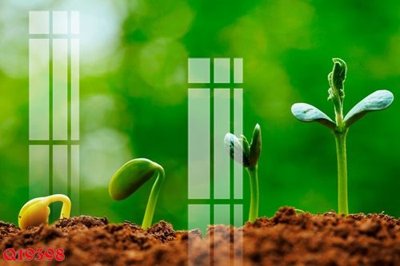 File gốc File gốc in tranh tổng hợp Q19398 (in lụa) họa tiết 3D