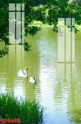 File tranh trang trí File gốc in tranh tổng hợp Q19482 (tải file gốc)