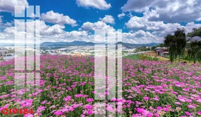 Download file gốc File gốc in tranh tổng hợp Q19484 (in lụa) tranh 3D