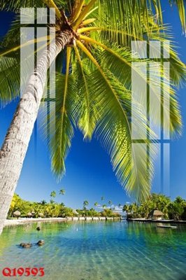 File in mica File gốc in tranh tổng hợp Q19593 (bản gốc) sắc sảo