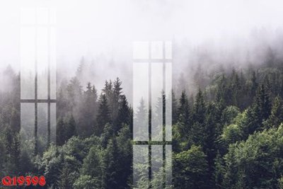 Ảnh gốc File gốc in tranh tổng hợp Q19598 (độ nét cao) in tráng gương