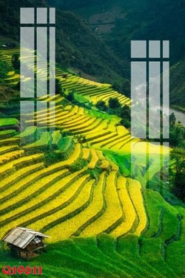 File tranh File gốc in tranh tổng hợp Q19611 (bản gốc) in canvas