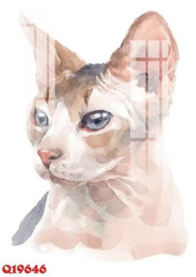 File tranh in trần File gốc in tranh tổng hợp Q19646 (ảnh gốc siêu nét)