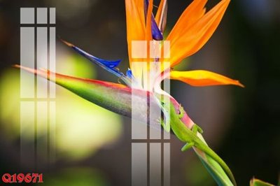 File gốc File gốc in tranh tổng hợp Q19671 (in lụa) chi tiết cao