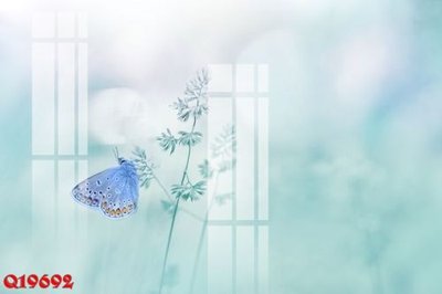 File gốc File gốc in tranh tổng hợp Q19692 (Filetranh.com) File gốc in tranh tổng hợp Q19692