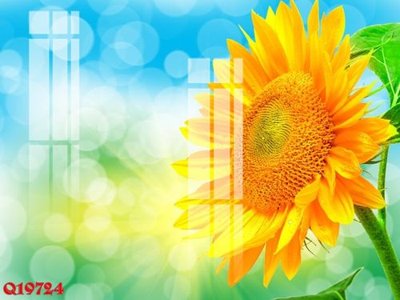 File tranh File gốc in tranh tổng hợp Q19724 (bản gốc) in lụa 5D