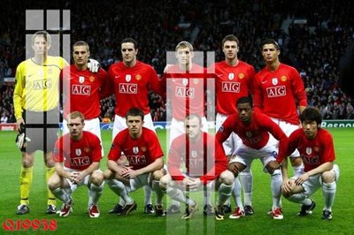 File in trần File gốc in tranh tổng hợp Q19938 (bản gốc 3D) sống động