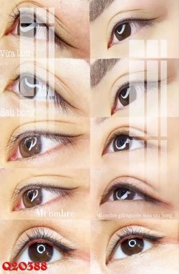 File gốc File gốc in tranh tổng hợp Q20388 cho in ấn và thiết kế