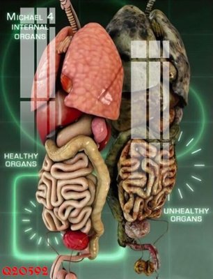 Download file gốc File gốc in tranh tổng hợp Q20592 (độ nét cao)