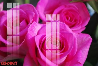 Tải file File gốc in tranh tổng hợp Q20807 (gốc) chủ đề tâm linh