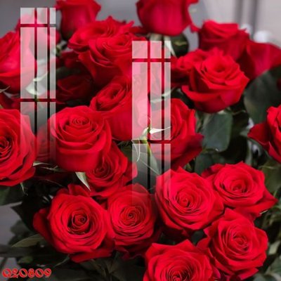 File gốc File gốc in tranh tổng hợp Q20809 (in mica) cắt laser