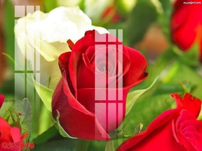 Download file gốc File gốc in tranh tổng hợp Q20816 (in mica) logo