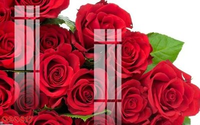 Tải file gốc File gốc in tranh tổng hợp Q20817 dùng cho in ấn