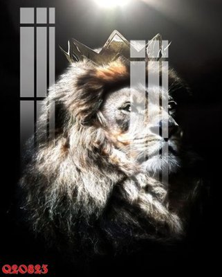 File tranh File gốc in tranh tổng hợp Q20823 (gốc) in trên kính