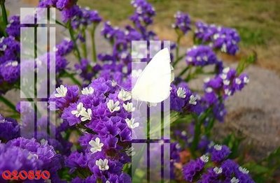 File in trần File gốc in tranh tổng hợp Q20850 (bản gốc) mây trời