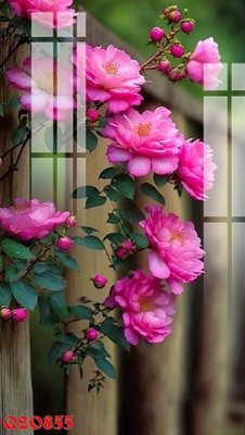 Tải file File gốc in tranh tổng hợp Q20855 (PSD) cho in tranh kính