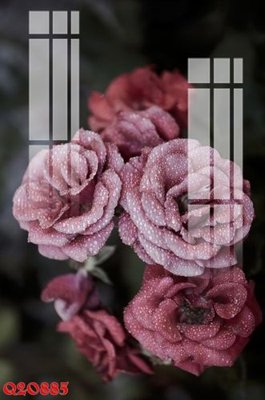 File gốc File gốc in tranh tổng hợp Q20885 (cho in ấn) từ kho Filetranh