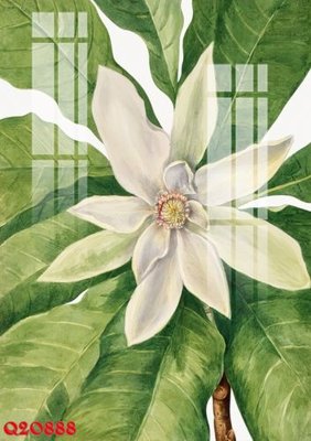 File ảnh File gốc in tranh tổng hợp Q20888 (gốc) in standee