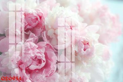 Download file gốc File gốc in tranh tổng hợp Q20954 (in lụa) hoa lá