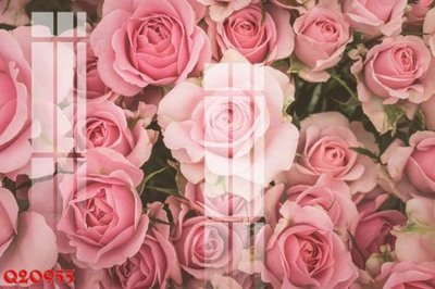 File in ấn File gốc in tranh tổng hợp Q20955 (bản gốc) sắc nét