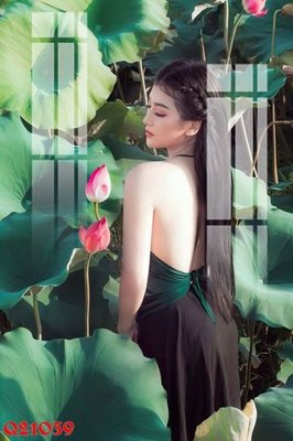 File tranh File gốc in tranh tổng hợp Q21039 (file gốc) chủ đề phong thủy