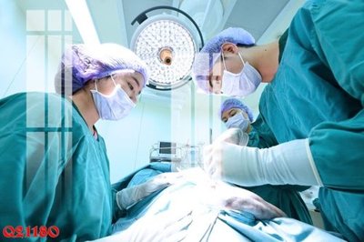 File in lụa File gốc in tranh tổng hợp Q21180 (hoa văn) File gốc in tranh tổng hợp Q21180