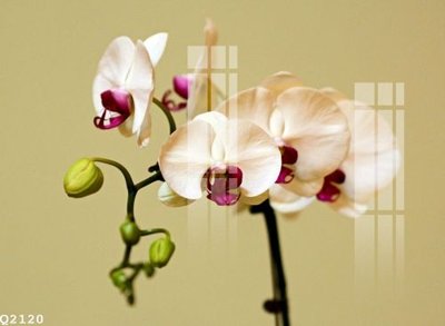 File gốc File gốc in tranh tổng hợp Q2120 (thiết kế) độc quyền