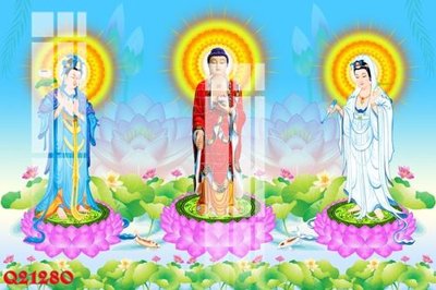 File tranh File gốc in tranh tổng hợp Q21280 (gốc) in backlit film