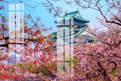 Download file File gốc in tranh tổng hợp Q21389 (gốc) in mica cao cấp