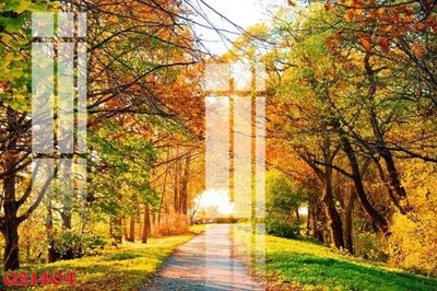 Ảnh gốc File gốc in tranh tổng hợp Q21404 (độ nét cao) in tráng gương