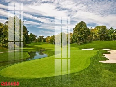 File in ấn File gốc in tranh tổng hợp Q21428 (bản gốc) cao cấp