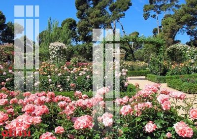 Tải file gốc File gốc in tranh tổng hợp Q21431 (in tráng gương) siêu đẹpFile tranh gốc File gốc in tranh tổng hợp Q21431 chất lượng cao