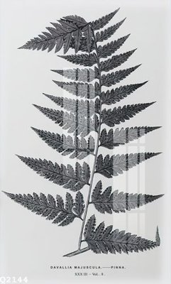 File tranh in tráng gương File gốc in tranh tổng hợp Q2144 (siêu nét)