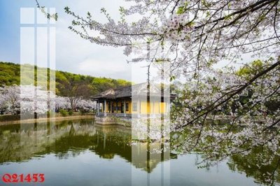 Tải xuống file tranh gốc File gốc in tranh tổng hợp Q21453 (PSD/TIFF)