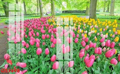 Download file gốc File gốc in tranh tổng hợp Q21498 (in lụa) hoa lá