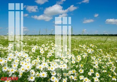 File tranh quảng cáo File gốc in tranh tổng hợp Q21519 (download file gốc)