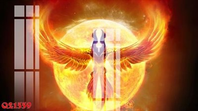 Tải file File gốc in tranh tổng hợp Q21559 (gốc) làm file in ấn