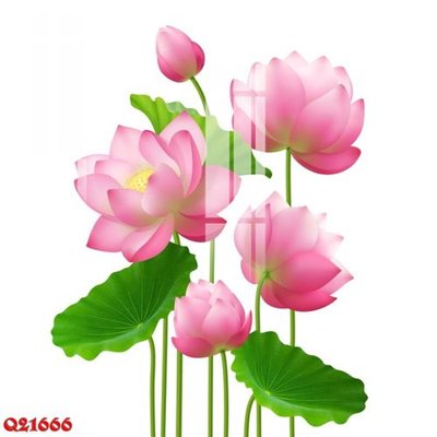 File in trần File gốc in tranh tổng hợp Q21666 (file gốc) xuyên sáng