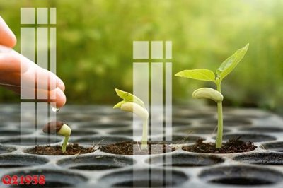 Download file gốc File gốc in tranh tổng hợp Q21958 (dùng cho in ấn)