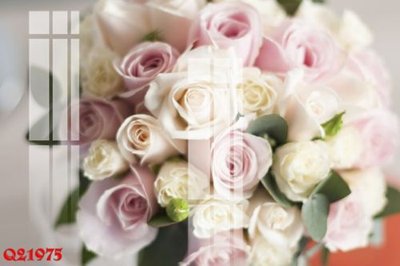 File gốc in ấn File gốc in tranh tổng hợp Q21975 (sẵn sàng tải về)