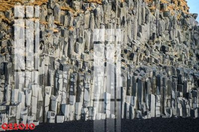 File tranh File gốc in tranh tổng hợp Q22010 (gốc) chủ đề động vật