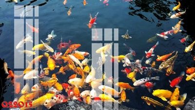 Download file gốc File gốc in tranh tổng hợp Q22015 (dùng cho in ấn)