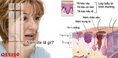 Tải xuống file tranh gốc File gốc in tranh tổng hợp Q22129 (PSD/TIFF)