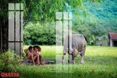 Tải file File gốc in tranh tổng hợp Q22338 (ảnh gốc) 300dpi File gốc in tranh tổng hợp Q22338