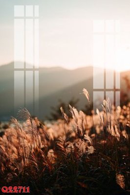 File tranh File gốc in tranh tổng hợp Q22711 (file gốc) chuẩn màu in