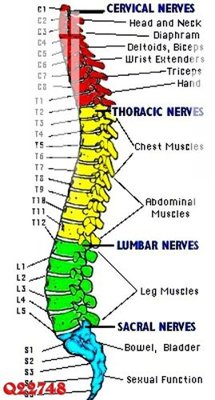 File gốc File gốc in tranh tổng hợp Q22748 (in tráng gương) ốp tường