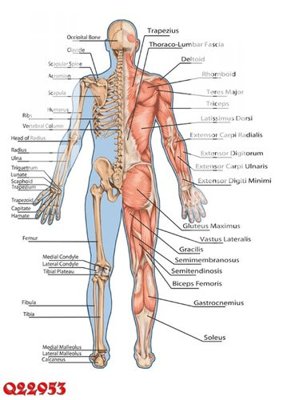 File gốc File gốc in tranh tổng hợp Q22953 (in mica) cắt laser