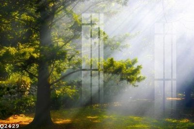 File tranh File gốc in tranh tổng hợp Q2429 (ảnh gốc) độc quyền